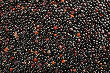 Black quinoa grains, closeup