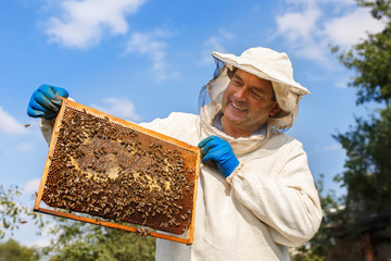 beekeeper with honeycomb in the apiary