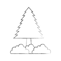 pine tree bushes forest natural flora image vector illustration
