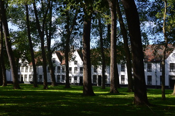 Fototapeta na wymiar Beginenhof in Brügge