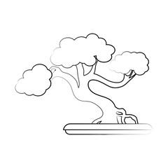bonsai tree japan related icon image vector illustration design