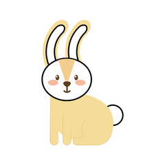 forest rabbit animal wild fauna natural vector illustration