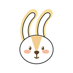 forest rabbit animal wild fauna natural vector illustration
