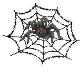 Scary Spider on web