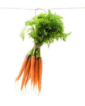 Hanging  bunch of new carrots isolated on white