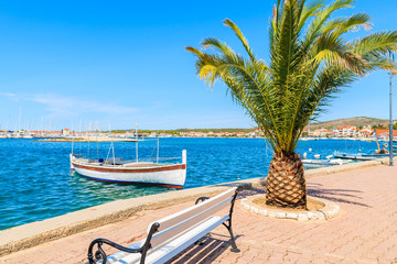 Fishing boat mooring in Rogoznica port with bench and palm tree in foreground, Dalmatia, Croatia