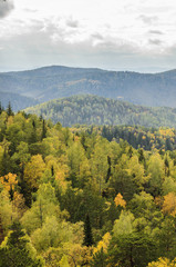 View of autumn golden forest, mountains and rocks