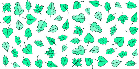 Set of Summer Autumn Fall Minimal Design Vector Leaves