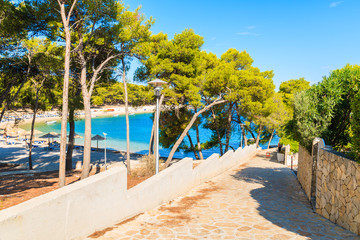 Walkway to beach with green pine trees in Primosten town, Dalmatia, Croatia