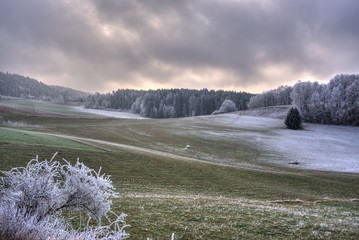 Felder und Wald an einem Wintermorgen