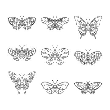 Set of butterfly, black outline, vector illustration.