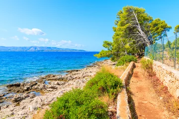 Photo sur Plexiglas Plage de la Corne d'Or, Brac, Croatie Coastal path along sea and vineyards near Zlatni Rat at Bol on Brac island in summertime, Croatia