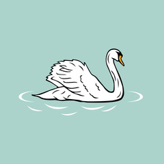 Fototapeta premium isolated swimming white goose on blue background, farm animal vector illustration