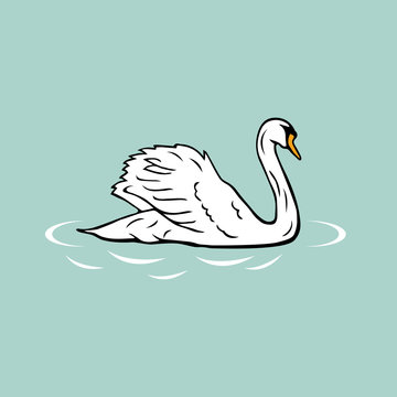 isolated swimming white goose on blue background, farm animal vector illustration
