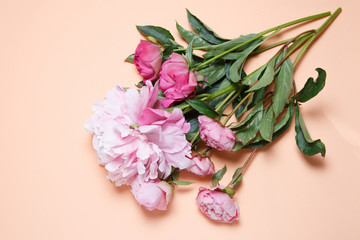 A bouquet of pink peonies lies against a background of salmon-colored .