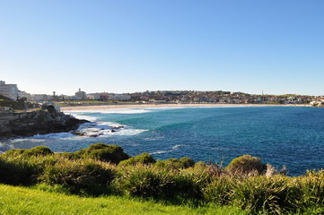 Bondi