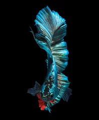 Deurstickers Blauwe zee © AEyZRiO