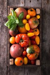 Naklejka na ściany i meble Colorful tomatoes, red , yellow, orange , green,black tomatoes. autumn background. vintage wooden background