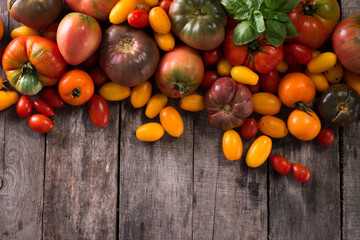 Naklejka na ściany i meble Colorful tomatoes, red , yellow, orange , green,black tomatoes. autumn background. vintage wooden background