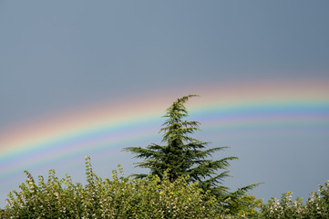 regenbogen