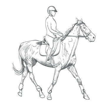 hand drawn horse riding vector illustration on equestrian sports theme. sketch drawing of young woman rider on white