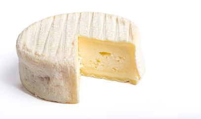 french fresh cheese on a white background