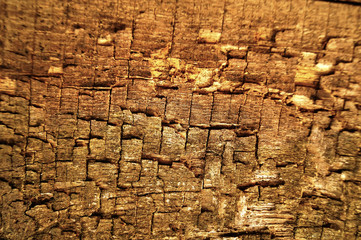 The old wood texture with natural patterns and cracks on the surface as background