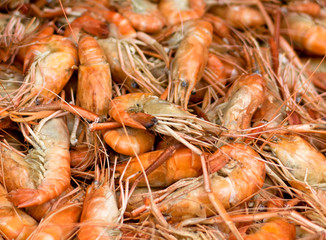 Shrimp burnt or grilled prawns