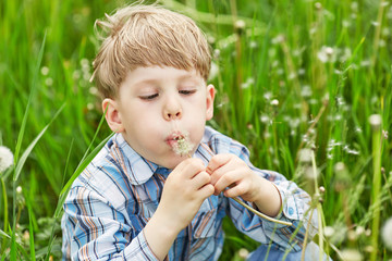 Young blond boy in a meadow blowing on dandelion seeds