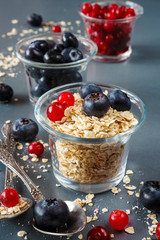 granola, oatmeal and fresh juicy berries cranberries and blueberries, concept of vegetarian healthy eating