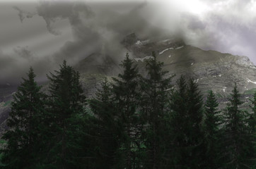 Mountain in the morning with black and white concept.