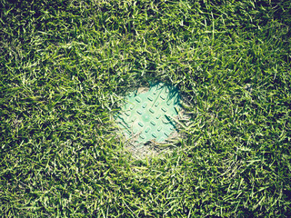 lonely sewer hatch among the green lawn