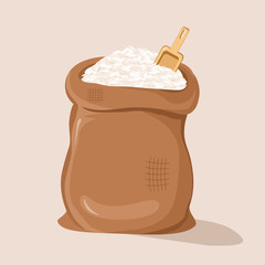 Rice in Bag and Spoon