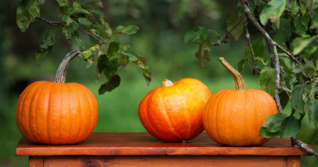 three pumpkins on a wooden table