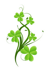 Obraz premium Swirl Shamrock Element