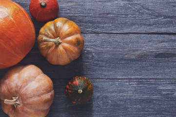 Autumn harvest pumpkins background with copy space