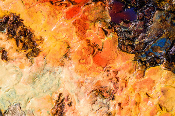 Color Background Texture in Nature. Abstract Background with Color Liquid Texture.