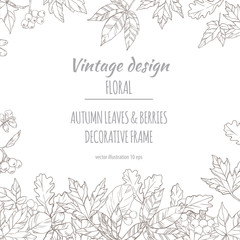 Autumnal decorative floral plant botany elements. Vector hand drawn illustration on light background for design greeting card or Invitation.