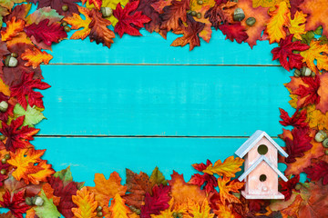 Blank antique teal blue wood sign with colorful fall leaves border and birdhouse