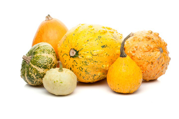 set of small pumpkins isolated on white background