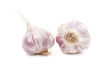 garlic isolated on white background