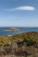 Corsica, 28/08/2017: macchia mediterranea sul Sentier des Douaniers, sentiero costiero del Capo Corso, con vista sulla riserva naturale delle isole Finocchiarola, Terra e Mezzana
