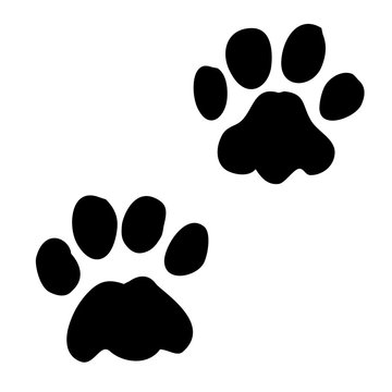 A pair of paw prints, vector graphic on isolated background. Elements for various composition.