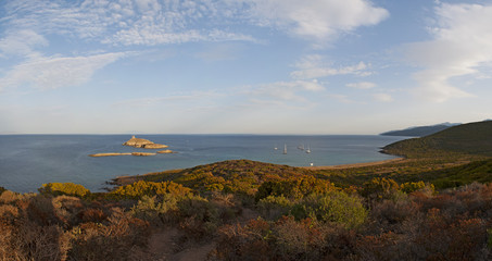 Corsica, 28/08/2017: macchia mediterranea sul Sentier des Douaniers, sentiero costiero del Capo Corso, con vista sulla riserva naturale delle isole Finocchiarola, Terra e Mezzana