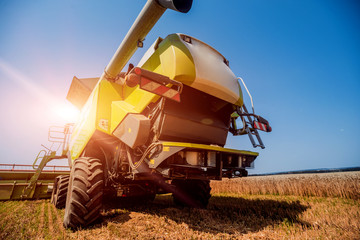 Combine harvester in action on wheat field. Process of gathering a ripe crop.