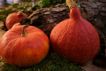 ripe of raw orange pumpkins on wooden table close up