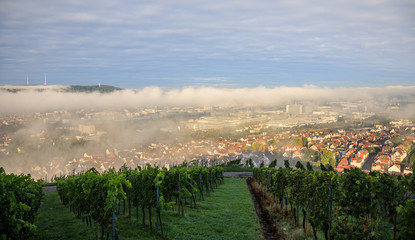 Cannstatter Wasen in Stuttgart at morning