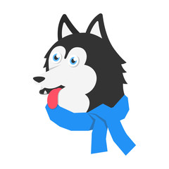Happy puppy huskay in scarf. Flat dog in scarf for poster