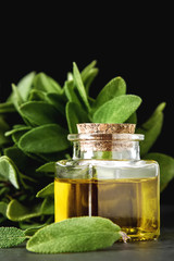 Fresh sage leaves. Italian herbs. Oil for food.