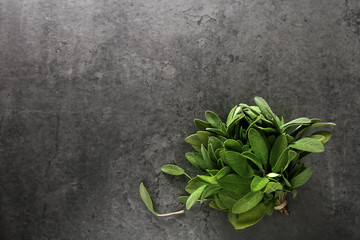 Obraz na płótnie Canvas Fresh sage leaves. Italian herbs. Oil for food.